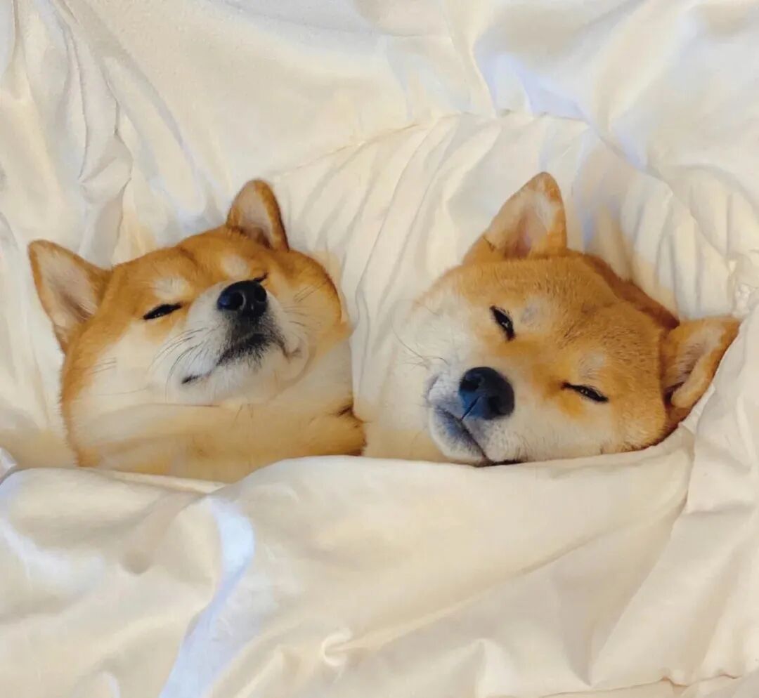 抖音头像:喝奶茶头像