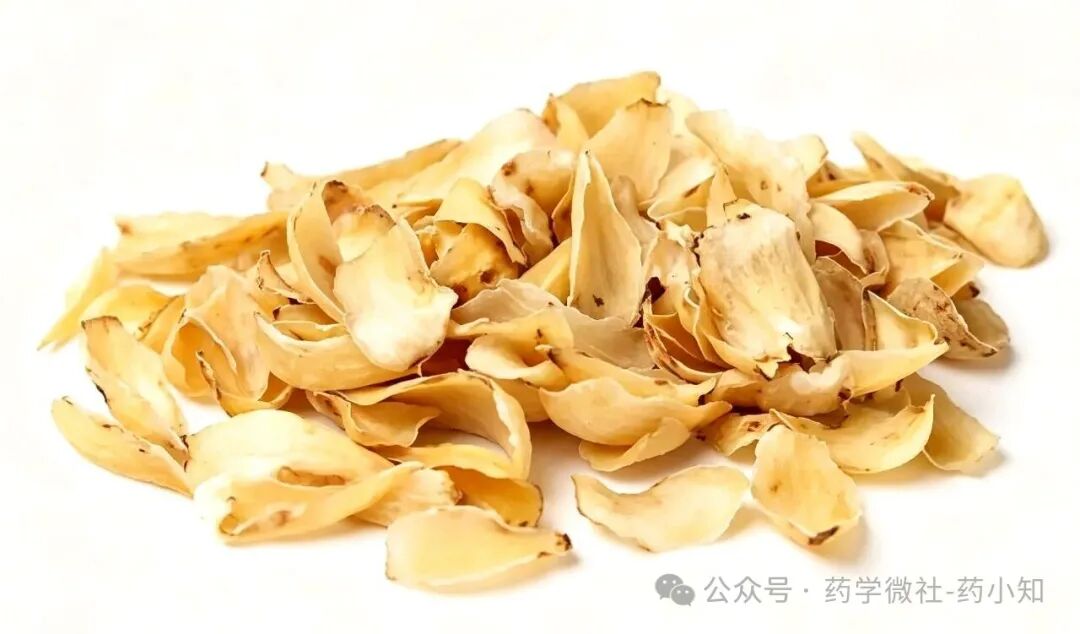 药用百合高产种植技术