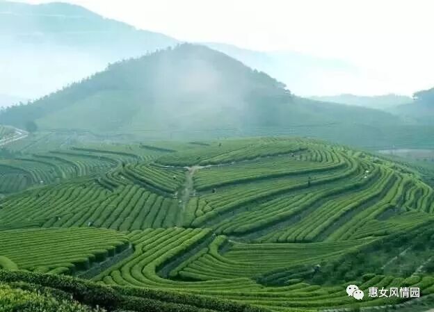 国家认定！惠安这次要火了~