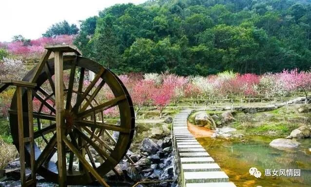 国家认定！惠安这次要火了~