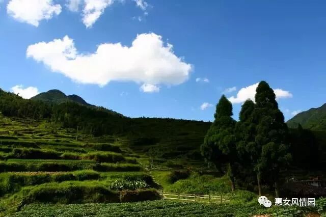 国家认定！惠安这次要火了~