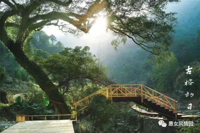 国家认定！惠安这次要火了~