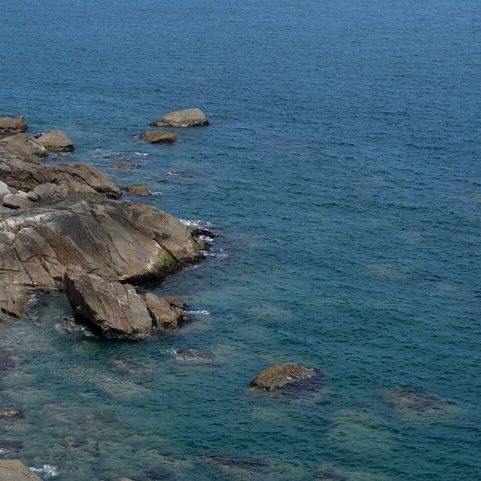 MiniMax市值突破千亿，股价狂飙109%！还有哪些特专科技公司赴港？【18C上市总结】