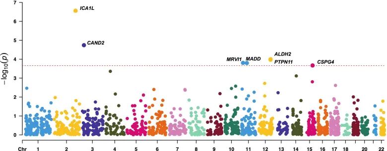 科学网 MC Medicine|PWAS及TWAS揭示腔隙性卒中新靶点 杨鸽的博文 科学网 MC Medicine|PWAS及TWAS揭示腔隙性卒中新靶点 杨鸽的博文