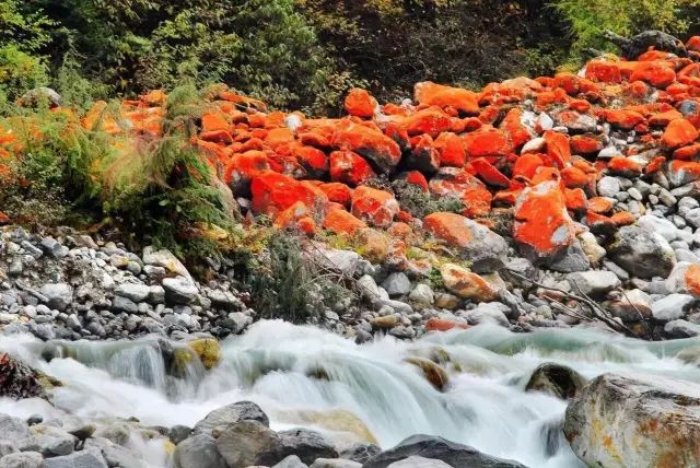 海螺溝周圍有海拔6000米以上的衛士峰45座,山峰終年積雪.