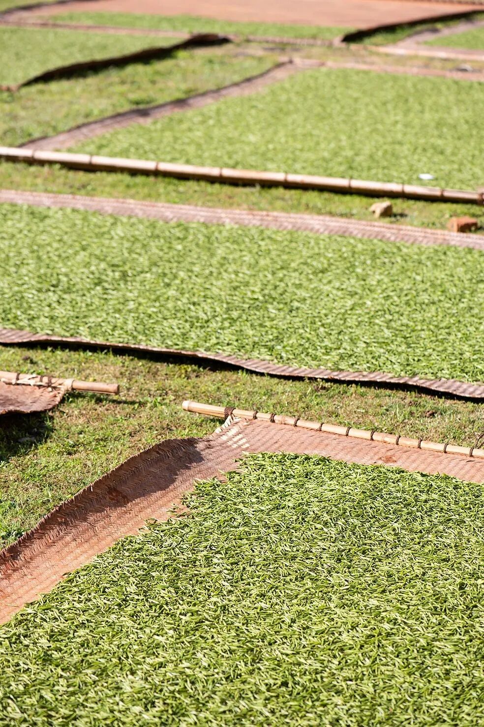 岁月留香，时间赋予红茶的惊艳