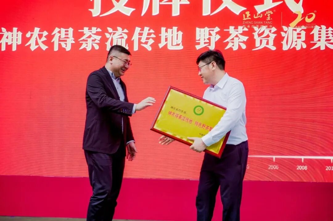 金骏二十载·骏眉传九州 | 金骏眉创始20周年座谈会在福建武夷山桐木、湖北巴东小神农架同启 - 企业动态 - 新闻公告 - 正山堂茶业