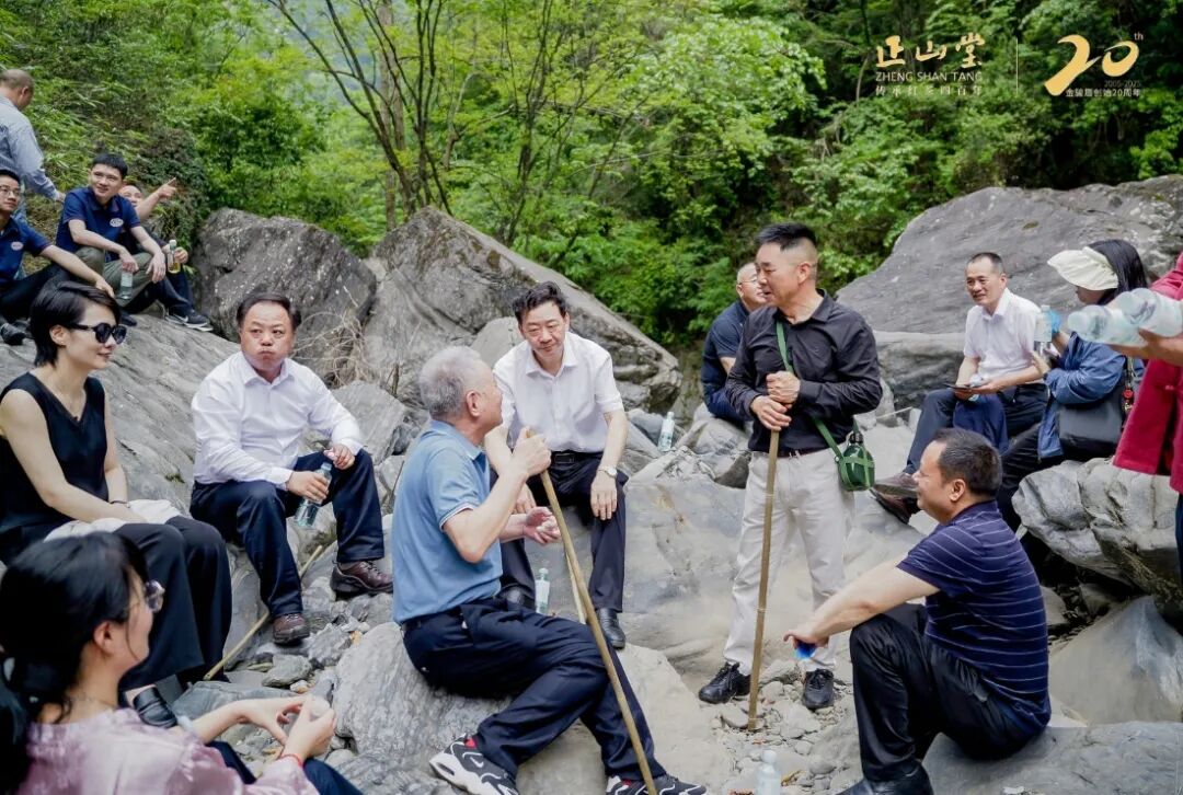 金骏二十载·骏眉传九州 | 金骏眉创始20周年座谈会在福建武夷山桐木、湖北巴东小神农架同启 - 企业动态 - 新闻公告 - 正山堂茶业