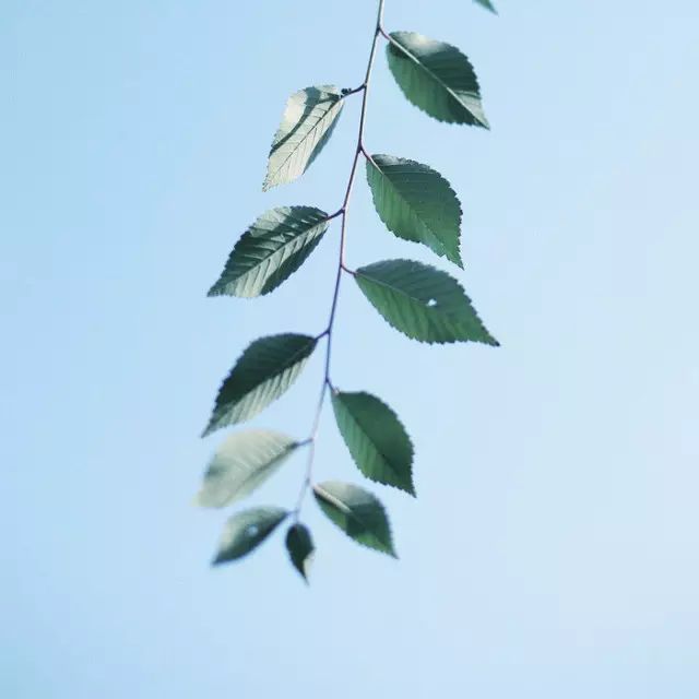困了就睡覺,醒來想微笑