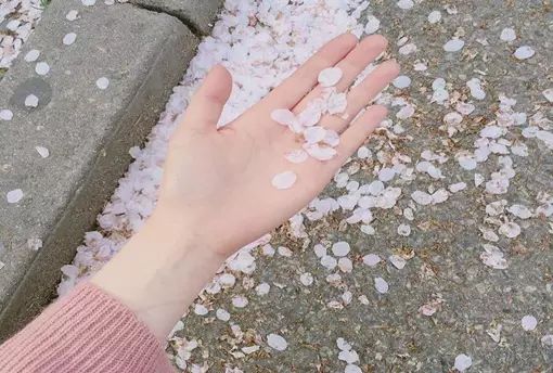我喜歡你已經超過兩分鐘了,不能撤回
