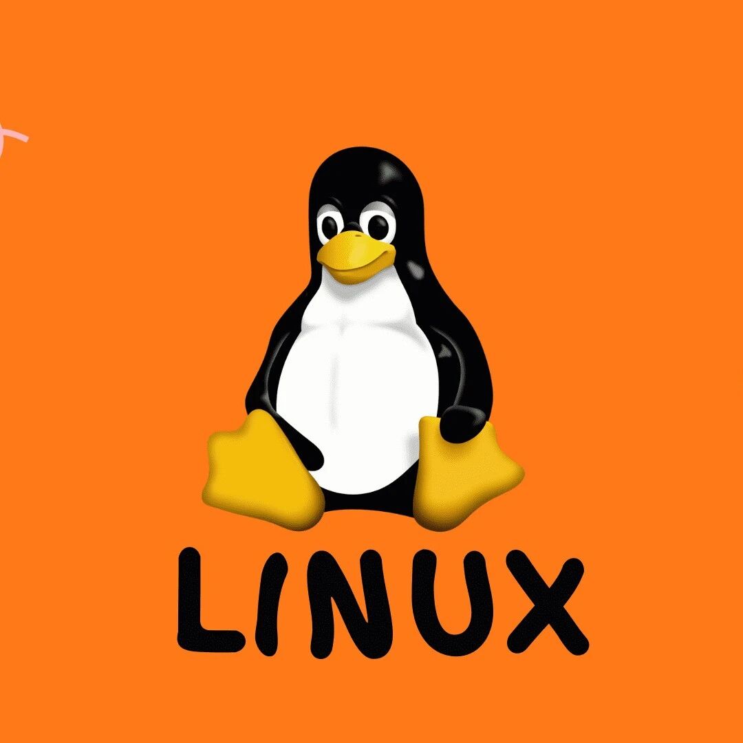 Example Image