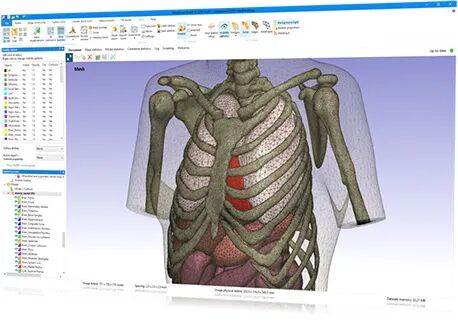 储层岩石孔隙尺度的化学输运模拟的图5