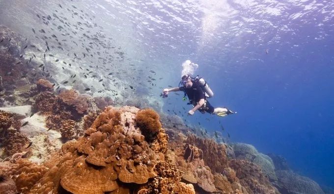 超全泰國象島旅游攻略