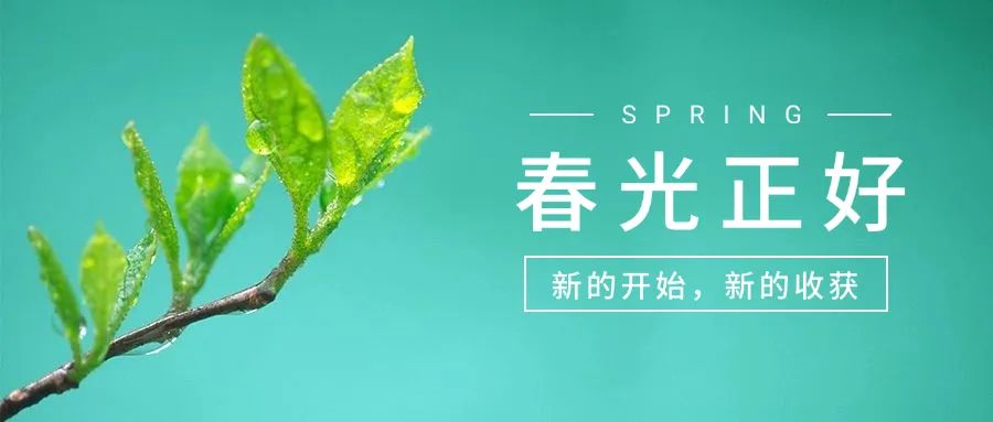 有趣的神评论和神回复大全,搞笑神评论：「别改行了，别的更不好干」