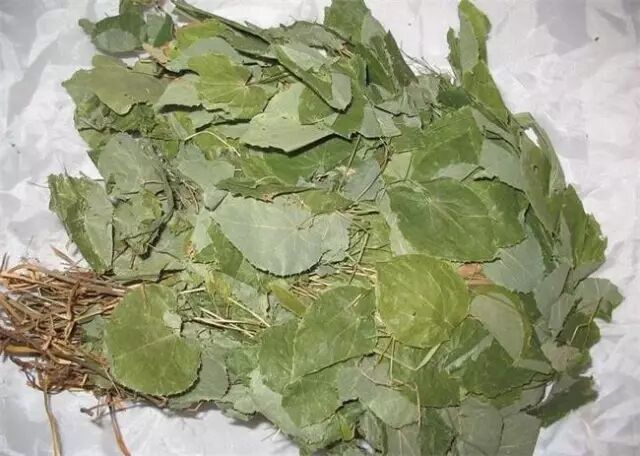 每天最少学一味中药---淫羊藿