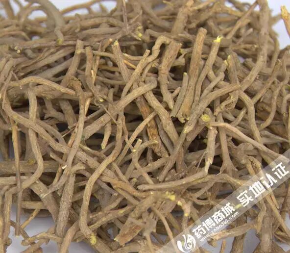 【中药讲堂】每天最少学一味中药---​黄芩