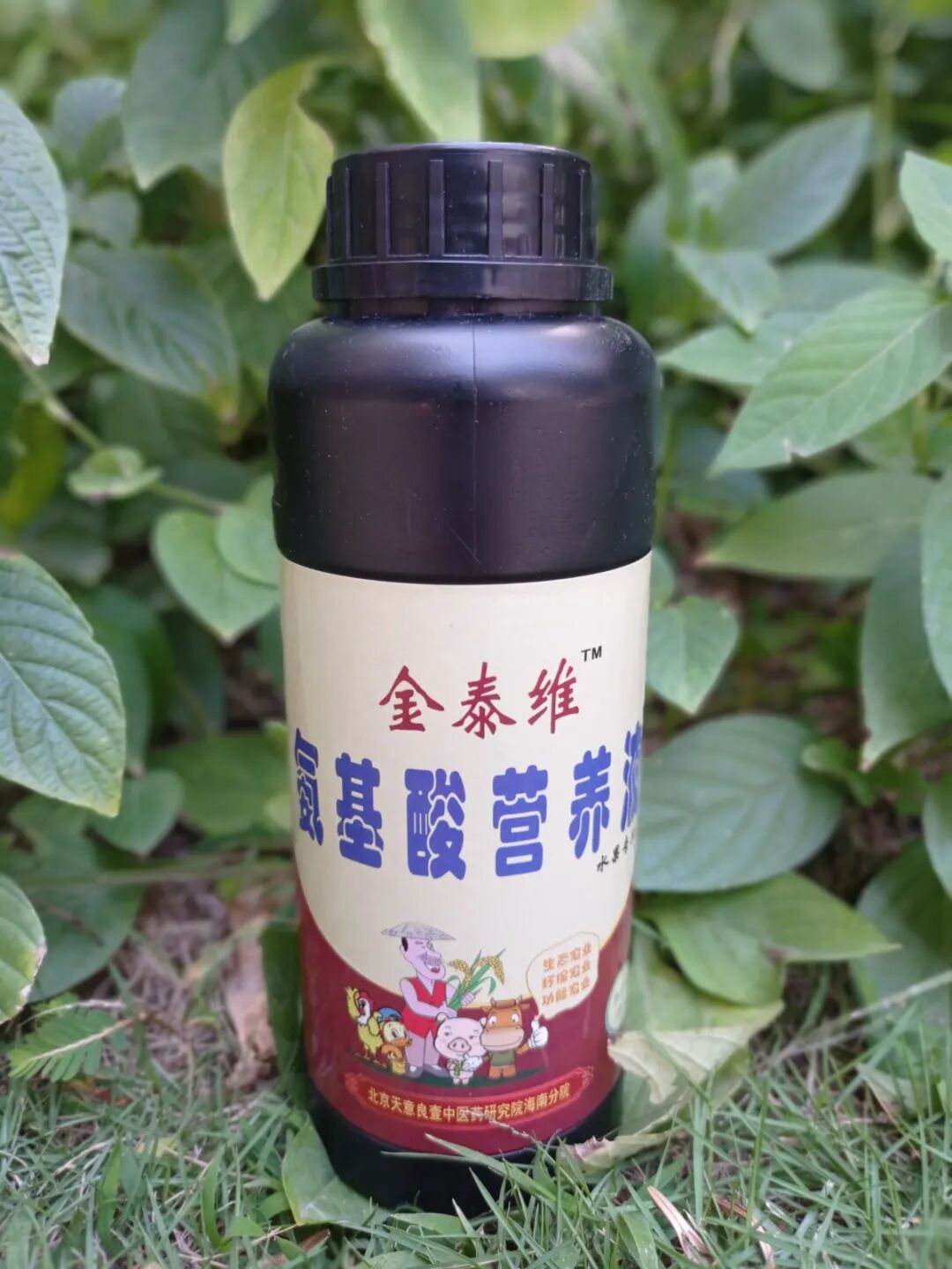 图片