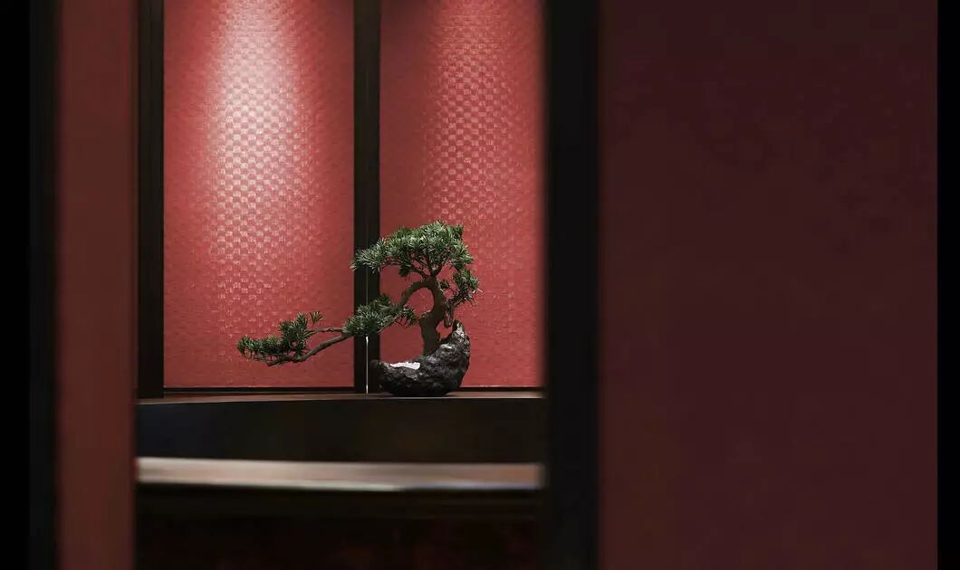 超美中式，演绎传统匠心！