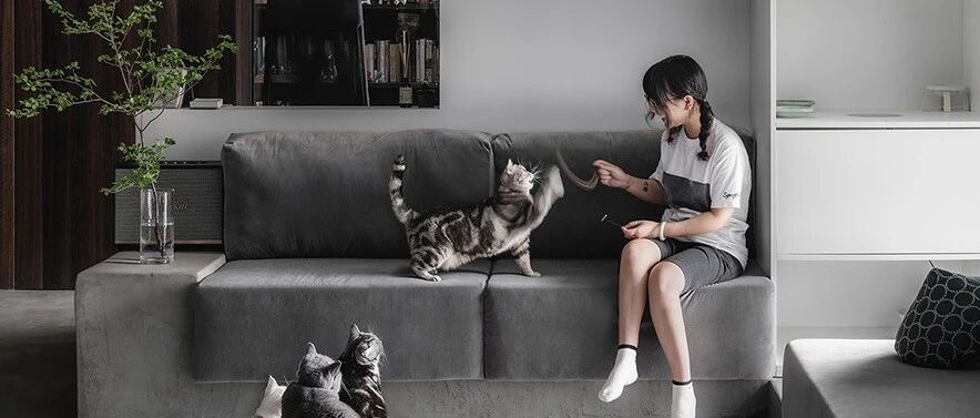 132㎡简洁设计，9猫、2狗、2人，这样的家太爱了！