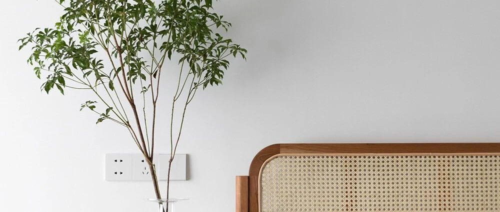 首发 | 清新简约，遇见即美好！