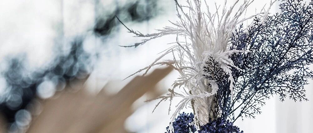 首发 | 大铄设计：当代设计，精致简约！