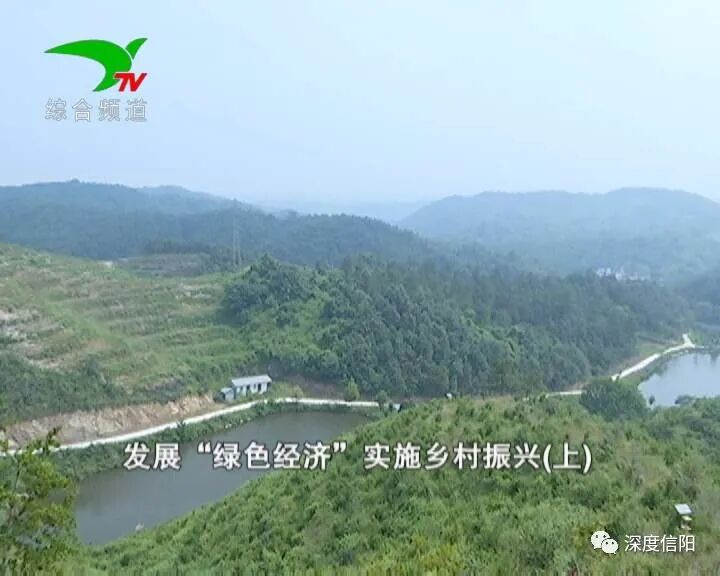 发展“绿色经济” 实施乡村振兴
