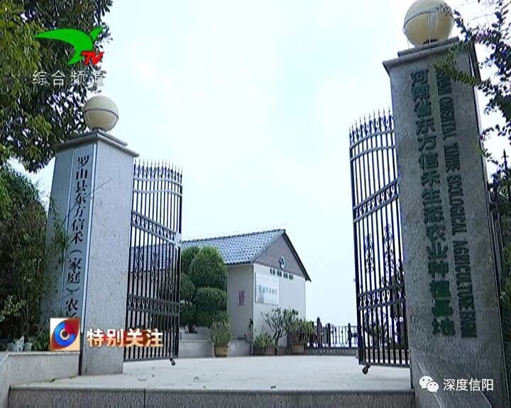 发展“绿色经济” 实施乡村振兴