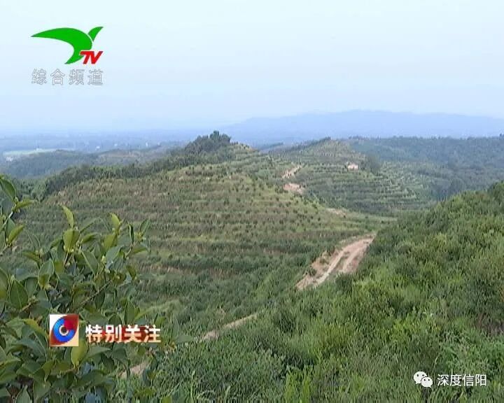 发展“绿色经济” 实施乡村振兴