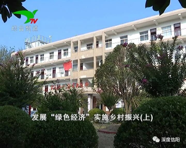 发展“绿色经济” 实施乡村振兴