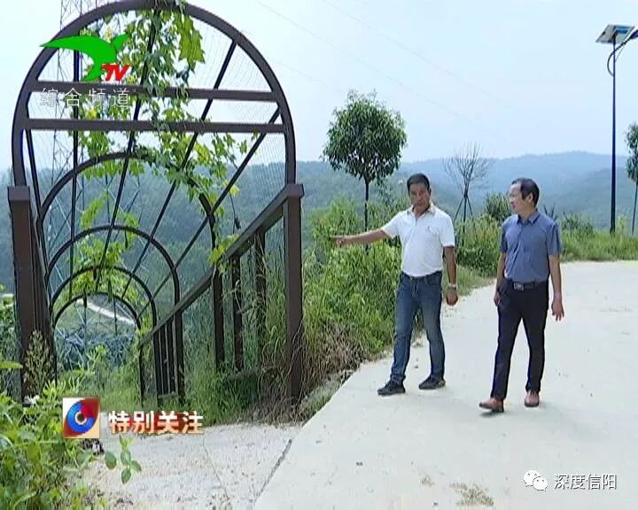 发展“绿色经济” 实施乡村振兴