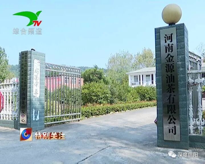 发展“绿色经济” 实施乡村振兴