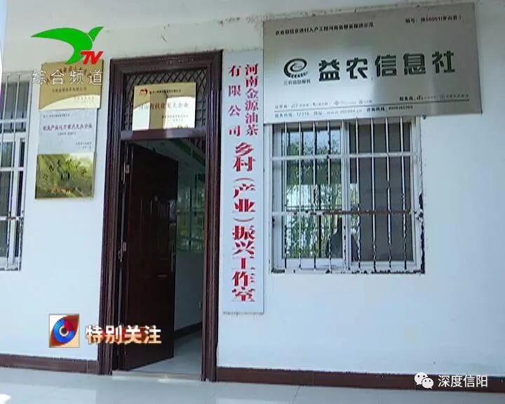 发展“绿色经济” 实施乡村振兴