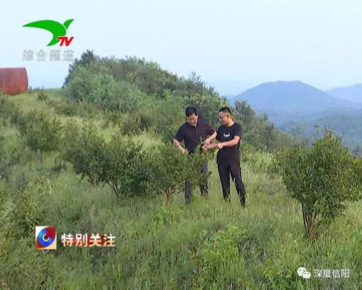 发展“绿色经济” 实施乡村振兴