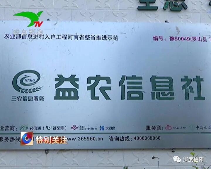 发展“绿色经济” 实施乡村振兴