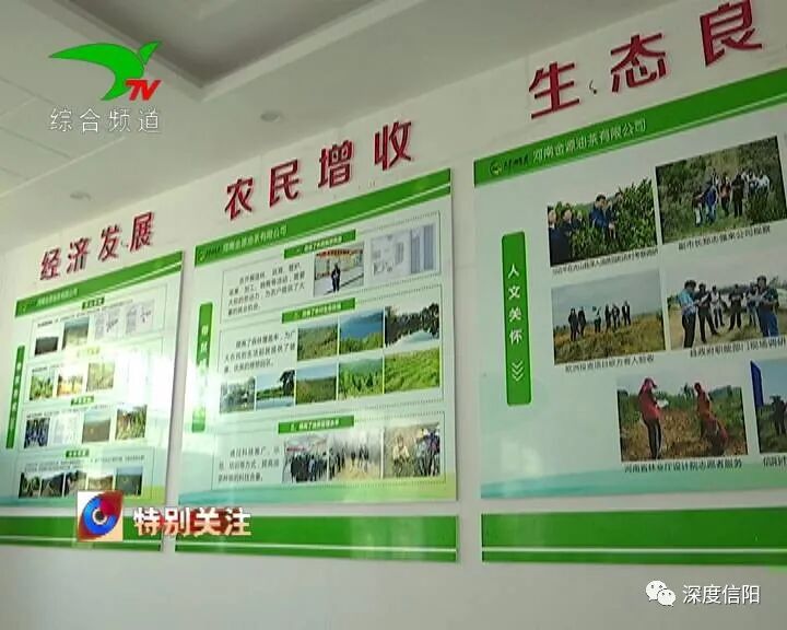 发展“绿色经济” 实施乡村振兴