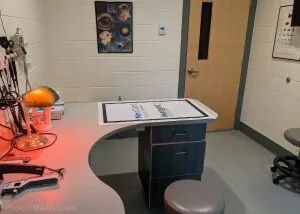 动物门诊用什么x光机10个常用小动物门诊眼科检查技巧_https://www.jmylbn.com_新闻资讯_第4张