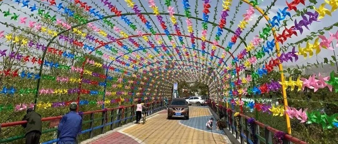 错过了梨花，不要错过什川网红桥
