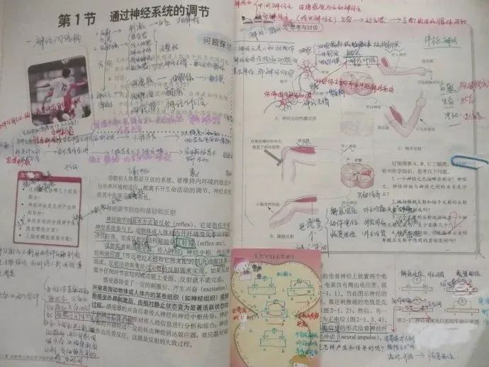 教案评价怎么写_教案如何写教案模板_如何写自我评价