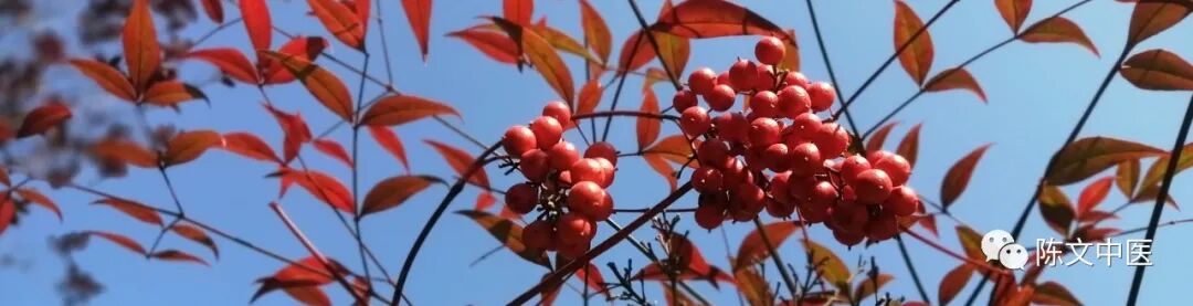 中医治疗月经延迟或闭经的疗效好