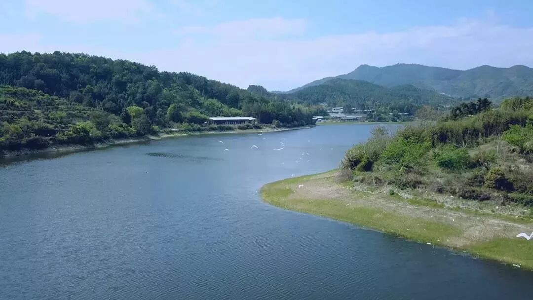 本草银耳--银耳之父52年匠心培育，成就新一代的滋补珍品“圣耳”