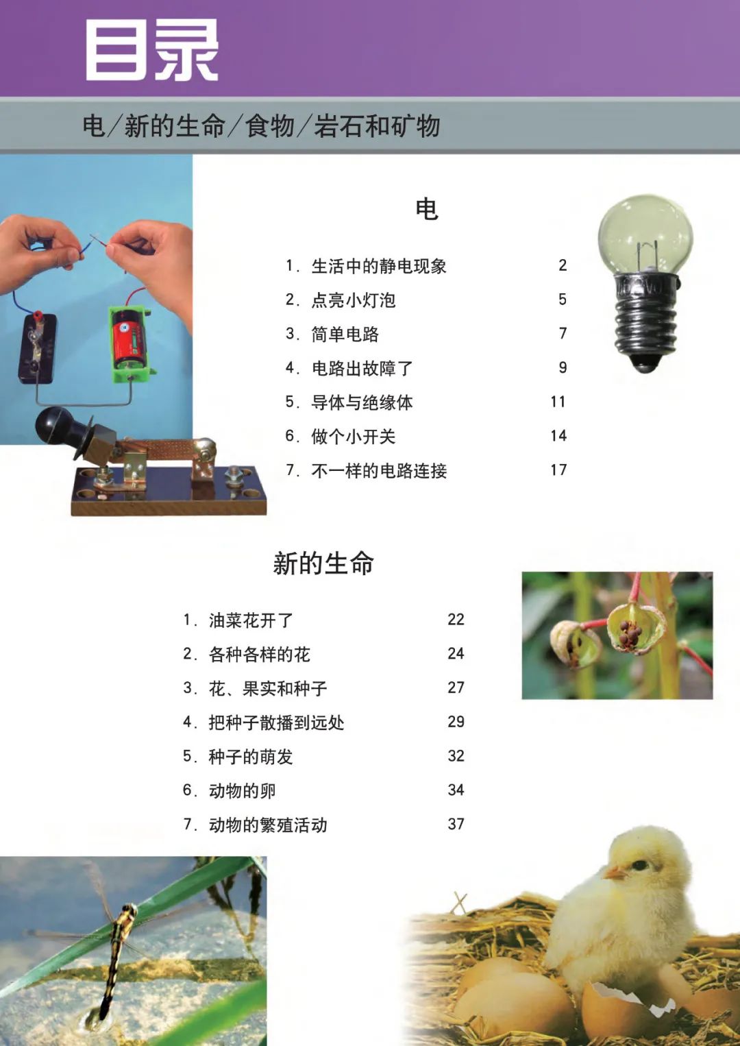 己思 从小学就开始的生物课 原来可以这样事半功倍地学