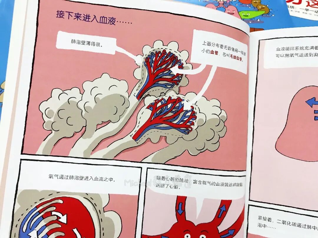 己思 从小学就开始的生物课 原来可以这样事半功倍地学