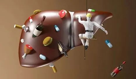 【亮点剧透】美地港医疗新品发布“消化系统重塑”——2023长三角度假医疗绿色健康高峰论坛