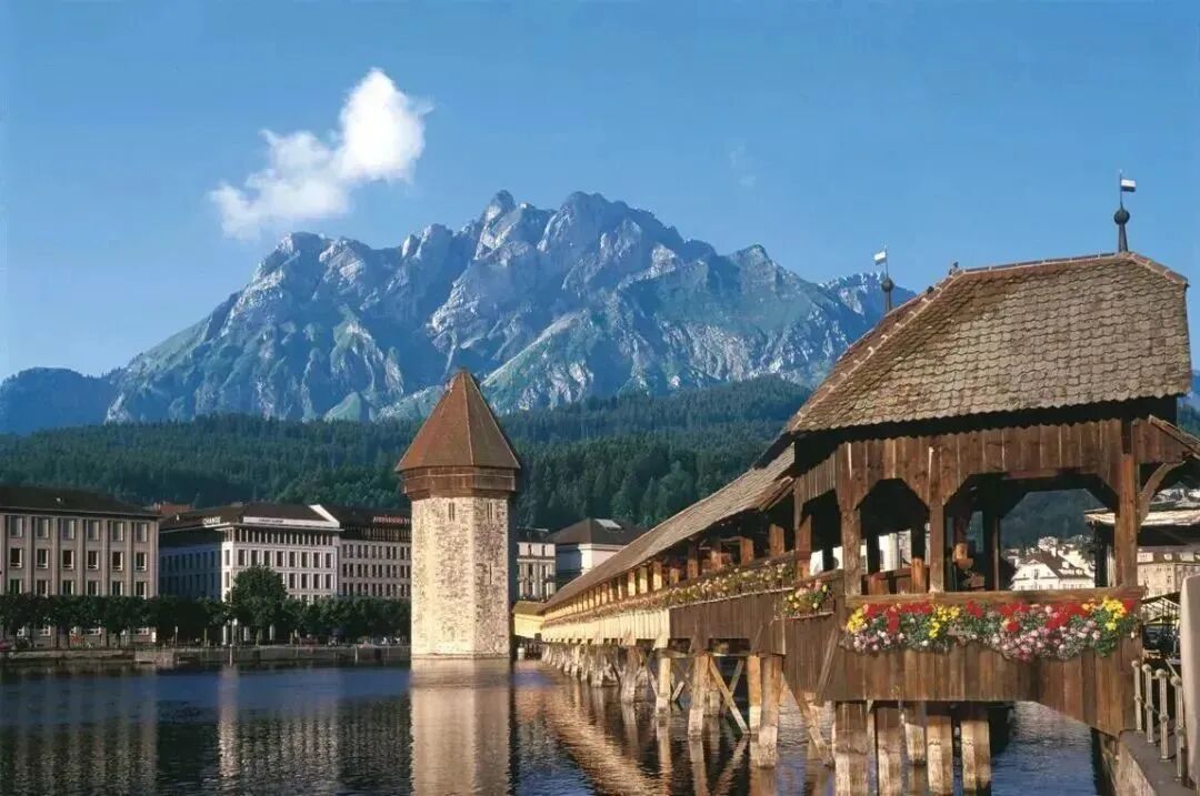 【亮点剧透】美地港医疗法国养疗之旅——2023长三角度假医疗绿色健康高峰论坛