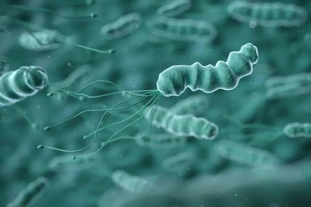 毁掉一个健康的胃需要多久？从胃炎到胃癌只需4步！