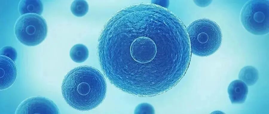 【亮点剧透】著名英国科学家、诺贝尔奖得主马丁•约翰•埃文斯教授相约2023长三角度假医疗绿色健康高峰论坛