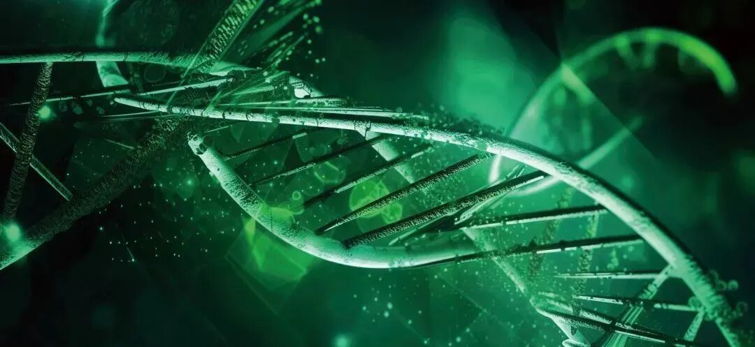 【亮点剧透】著名英国科学家、诺贝尔奖得主马丁•约翰•埃文斯教授相约2023长三角度假医疗绿色健康高峰论坛