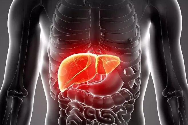 3.18全国爱肝日丨看清肝脏的七大重要功能，身体出现这些异常其实是肝脏在