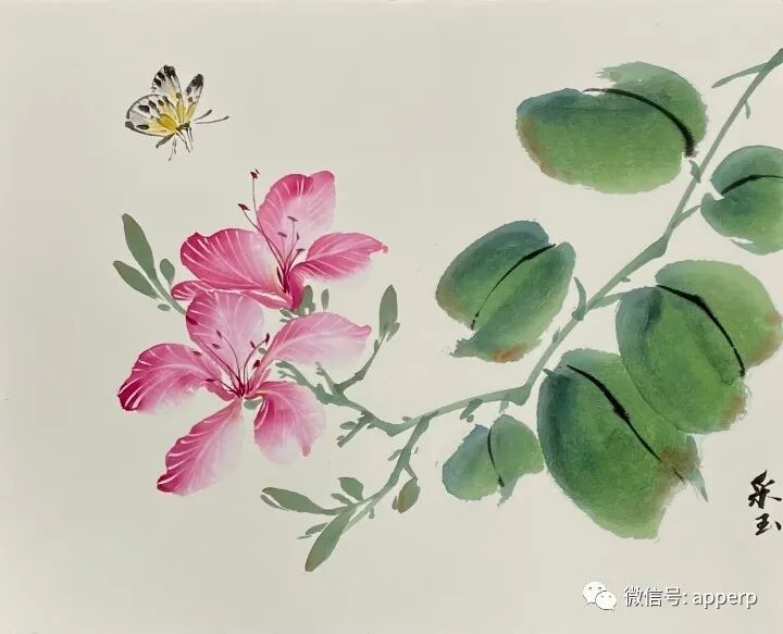 国画花鸟 <采玉案例>