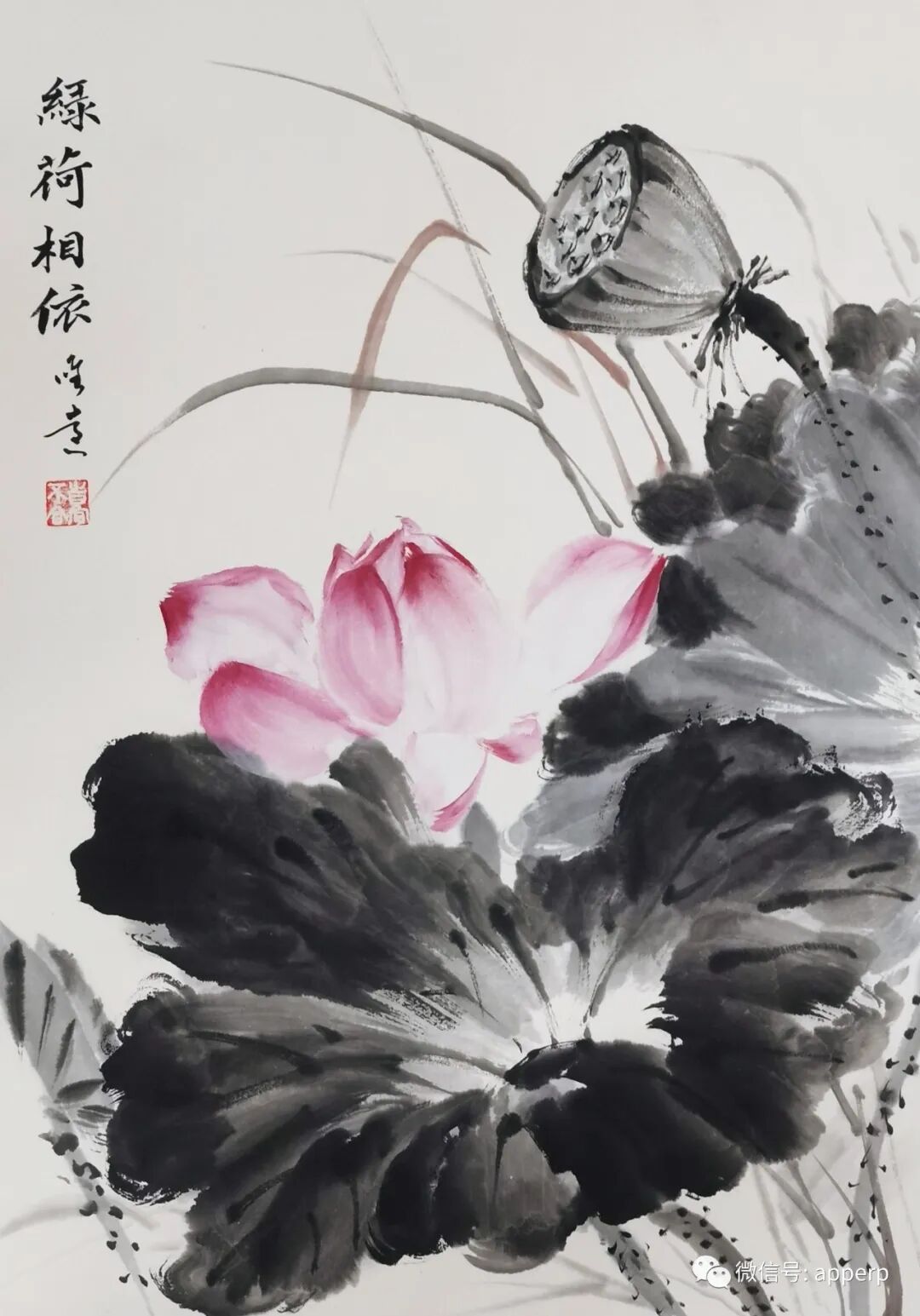 国画花鸟 <唯远案例>